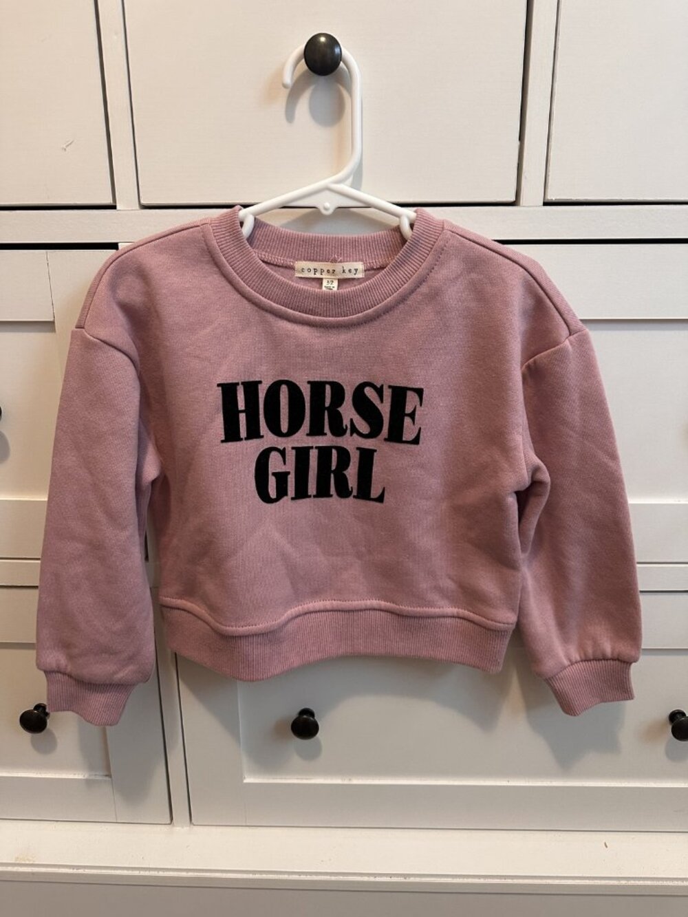 Copper Key - Girls "Horse Girl" Pink Sweatshirt - perfect condition!